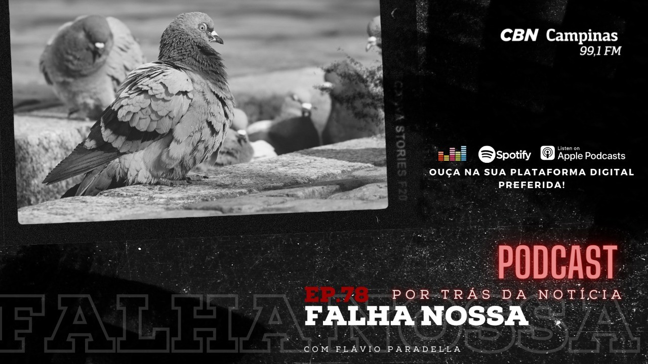 Por Trás da Notícia: EP. 78 – Falha Nossa
