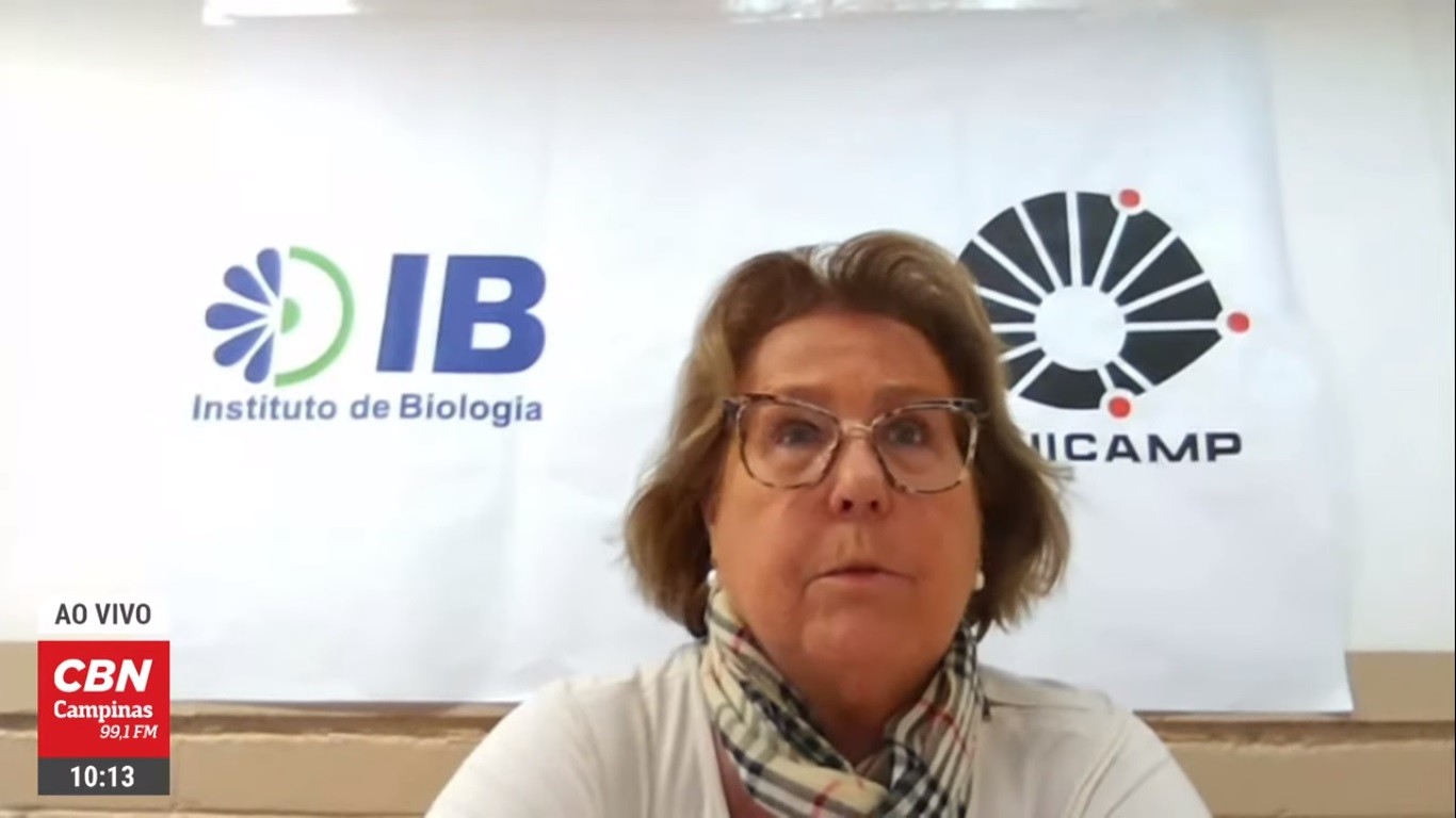 O comportamento na pandemia