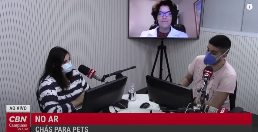 Vida Pet – Cachorros e gatos podem tomar chá?