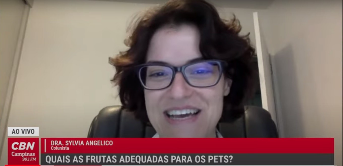 Vida Pet – Quais as frutas adequadas para os pets?