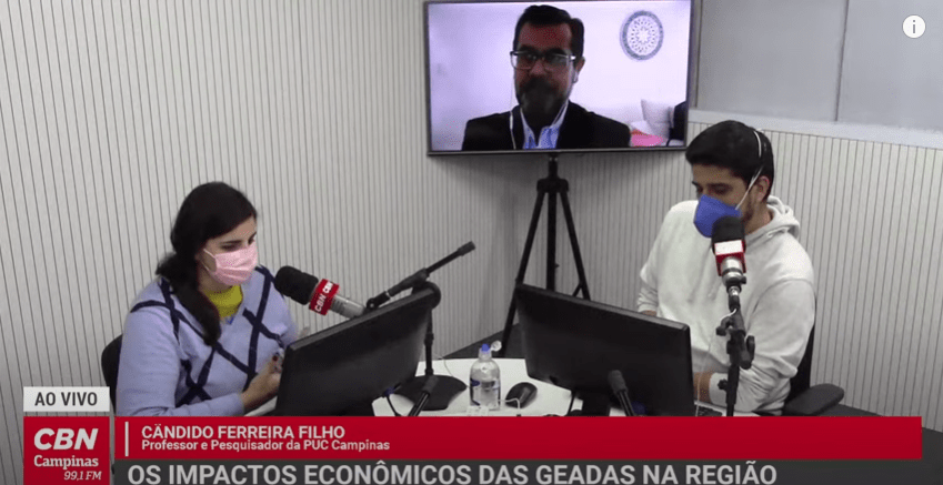 As geadas e os alimentos: Cândido Ferreira Filho