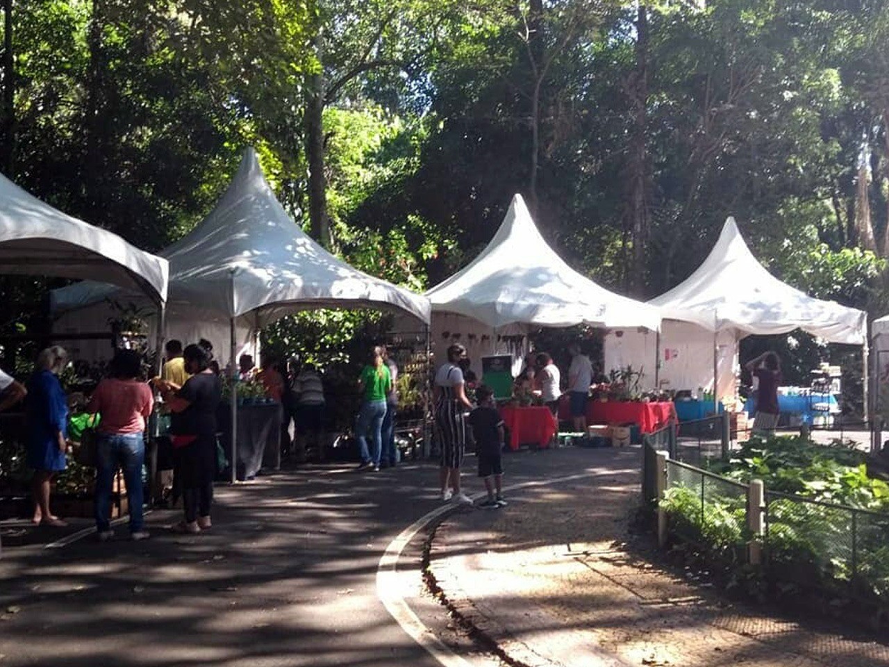 Bosque recebe Feira de Orquídeas e Suculentas