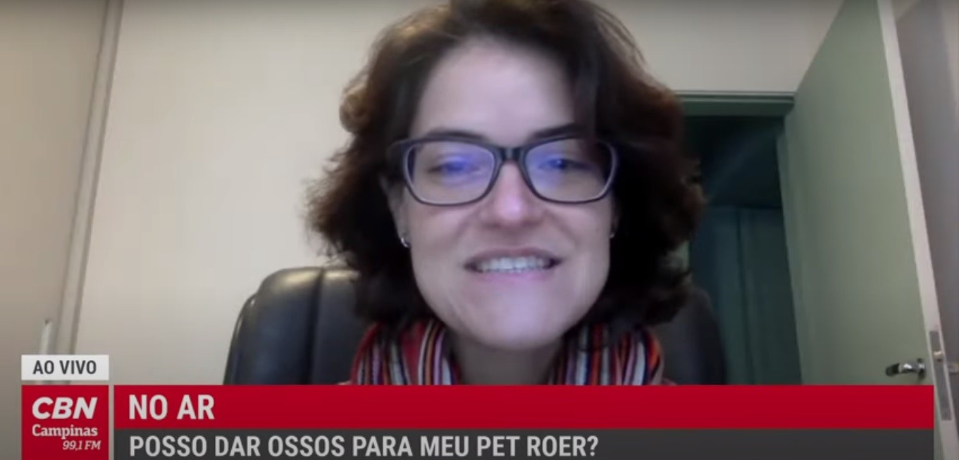 Vida Pet – É seguro oferecer ossos para os cães?
