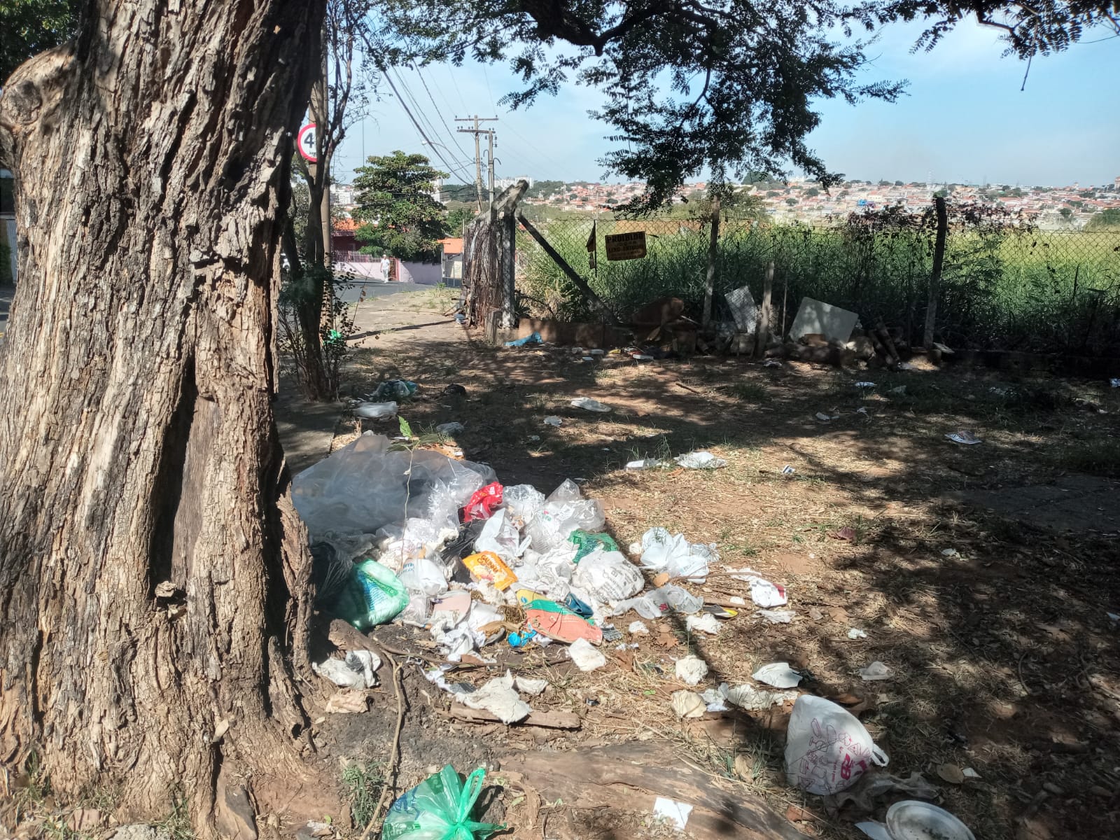 Vila João Jorge, em Campinas, tem ratazanas e lixo em praça