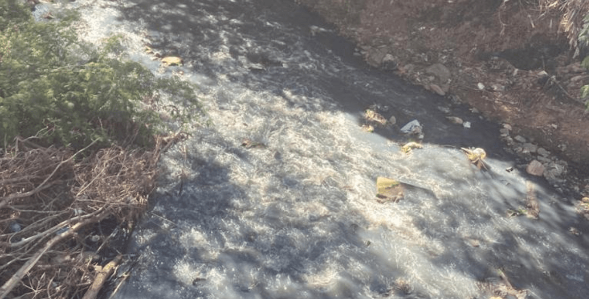 Moradores reclamam de poluição no Ribeirão Anhumas