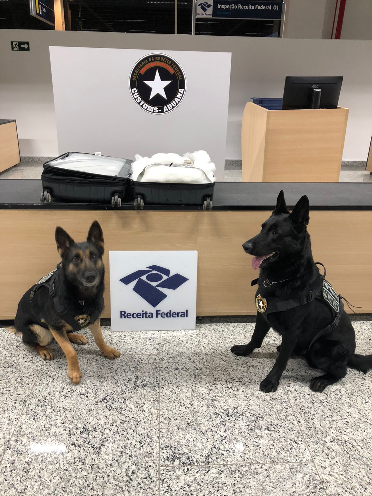 Receita Federal apreende 10 kg de skunk em Viracopos