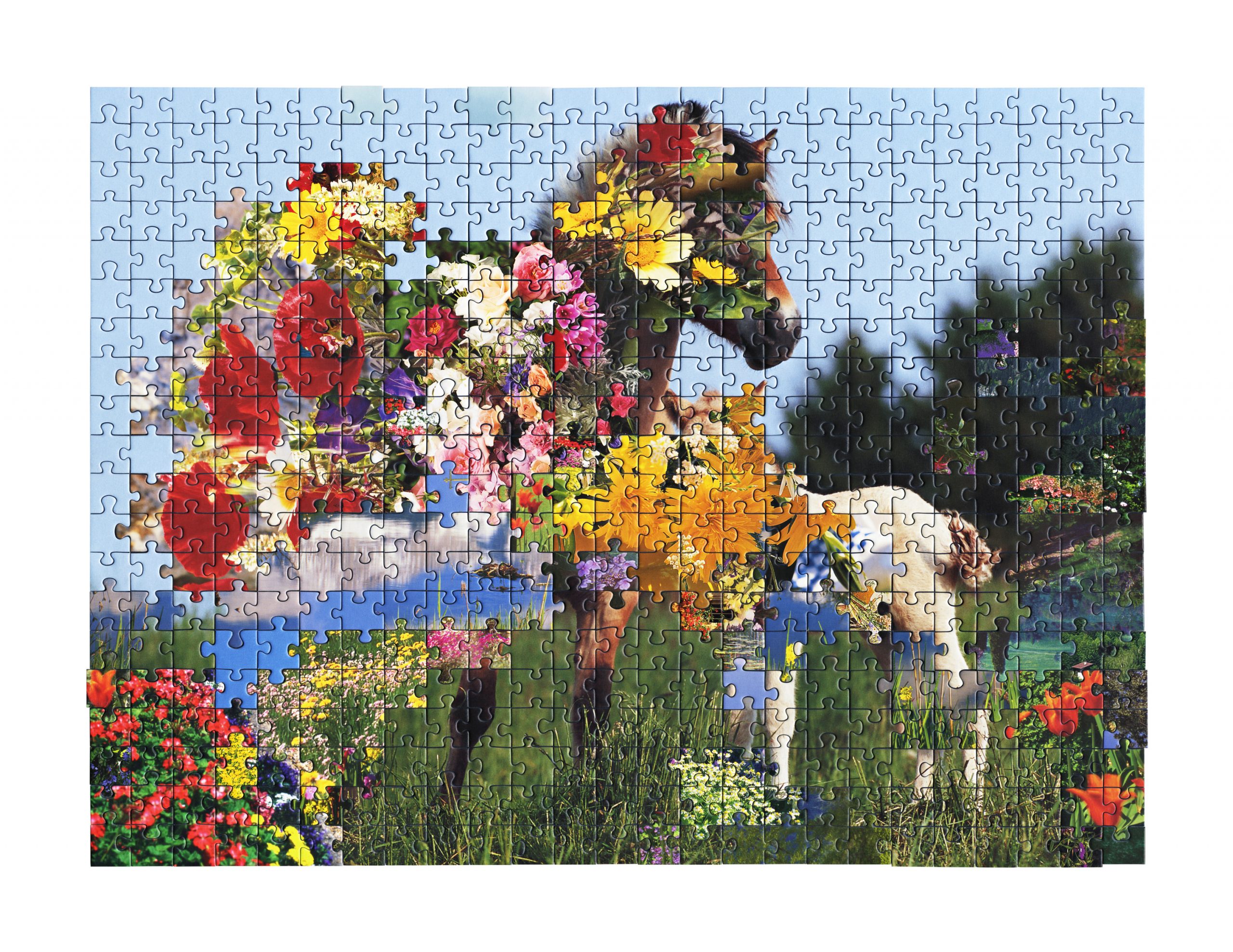 Sesi recebe mostra sobre criatividade fotográfica