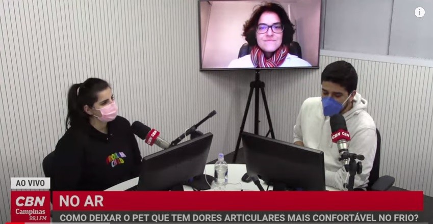 Vida Pet – Como proteger pets com dores articulares no frio?