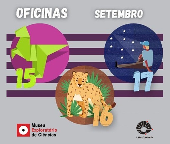 Museu Exploratório oferece oficinas virtuais para jovens