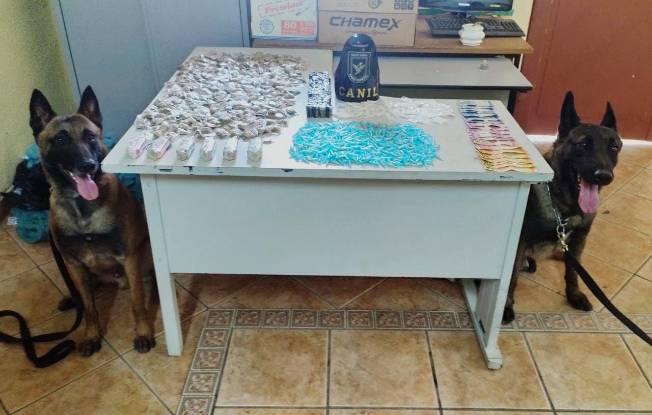 GM registra quase 4 mil atendimentos em atrássto