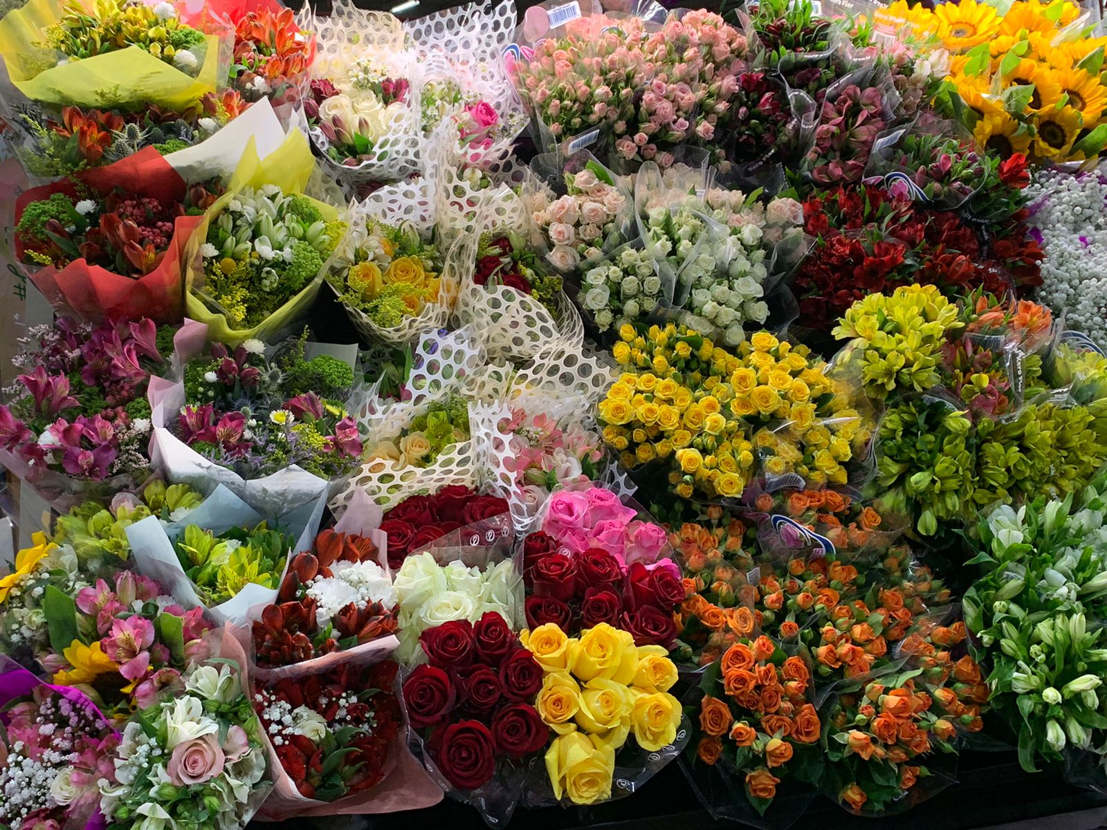 Expoflora é confirmada após dois anos de adiamento