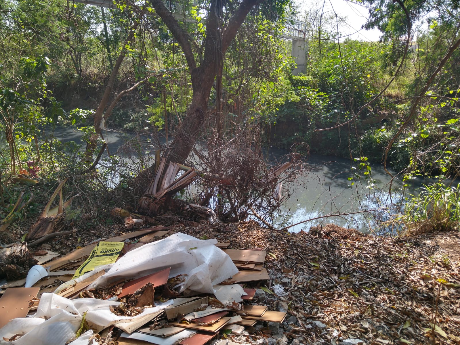 Ribeirão Anhumas tem lixo, água turva e mau cheiro em área de preservação