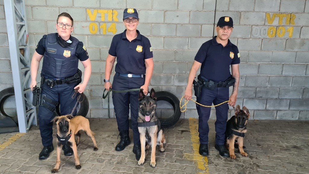 Canil da GM de Hortolândia ganha mais dois reforços