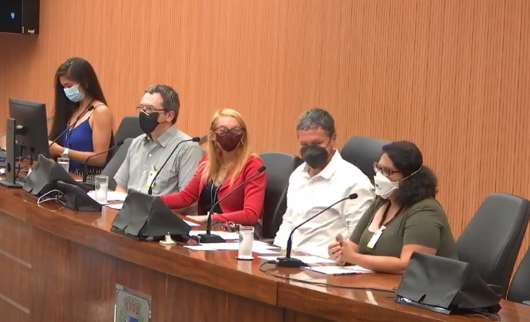 Comissão de Cultura da Câmara debate viabilidade do Carnaval 2022