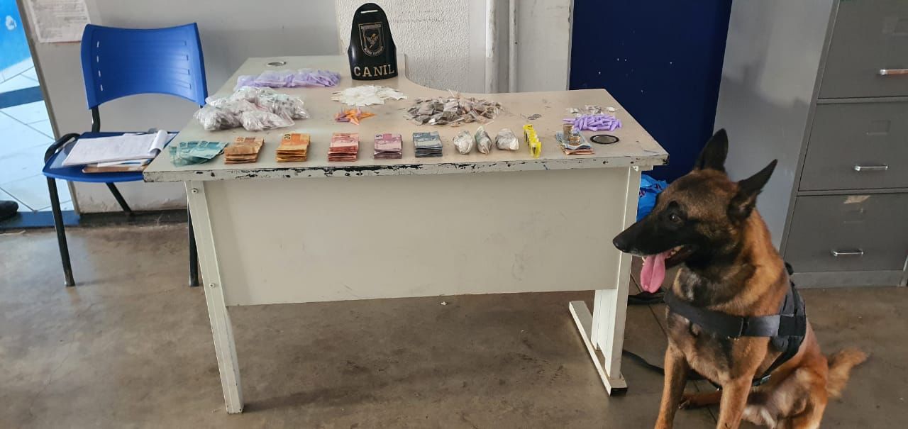 Cão da GM ajuda em prisão por tráfico de drogas