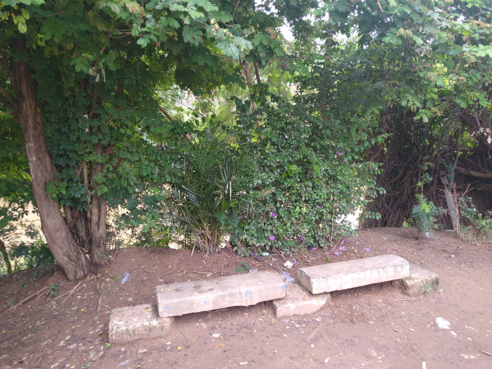 Defesa Civil alerta para tempestades até quinta e monitora áreas de risco