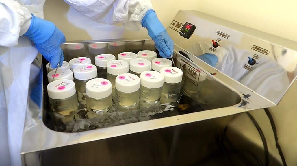 Com estoque baixo, Maternidade de Campinas faz apelo para doação de Leite Materno