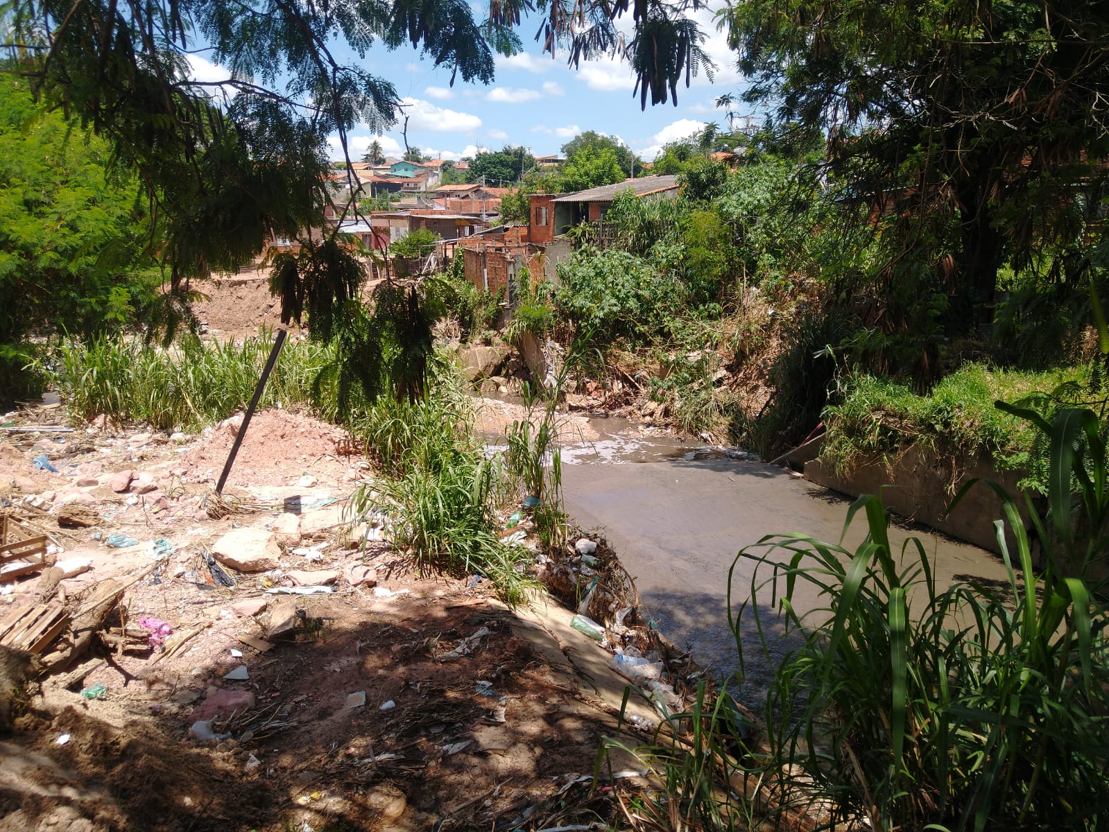 Campinas tem mais 2,3 mil casos de dengue em 2021