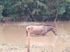 Capivari e Monte Mor seguem com pontos de alagamento nesta quarta