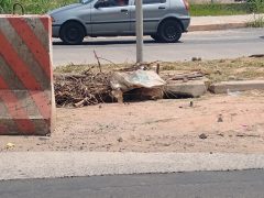 Obras do lote 4 do BRT Ouro Verde, em Campinas, seguem em ritmo lento