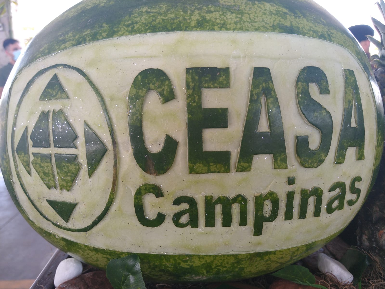 Concurso da Ceasa tem inscrições abertas; salários vão até R$ 10 mil