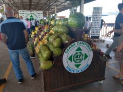 Ceasa completa 47 anos e receberá pacote melhorias