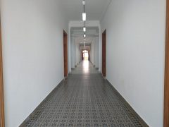 Cotuca retoma atividades no tradicional prédio da rua Culto à Ciência