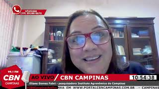 Profissionais do setor de plantas aromáticas terão oportunidade de aprendizado