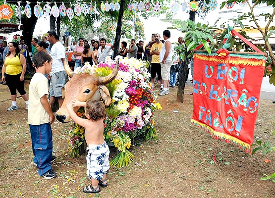 Após dois anos, festa do “Boi Falô” é retomada em Barão Geraldo nesta sexta