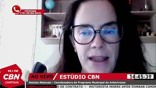 Campinas registra mais de 530 casos de dengue nos primeiros meses de 2022