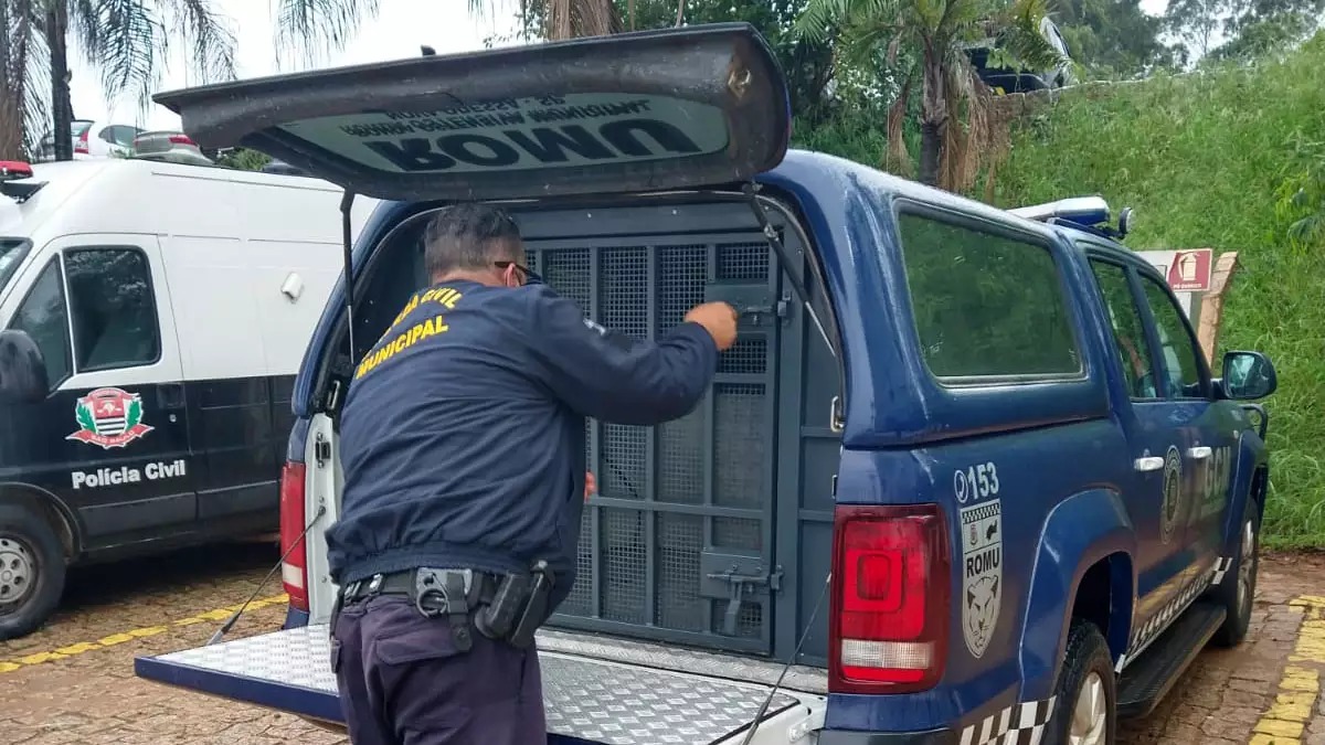  GM prende homem após tentativa de feminicídio em Nova Odessa