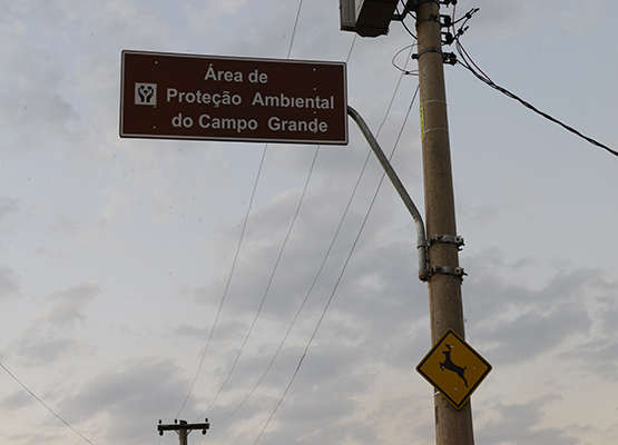 Loteamentos irregulares podem ter multa diária e não serão revertidos