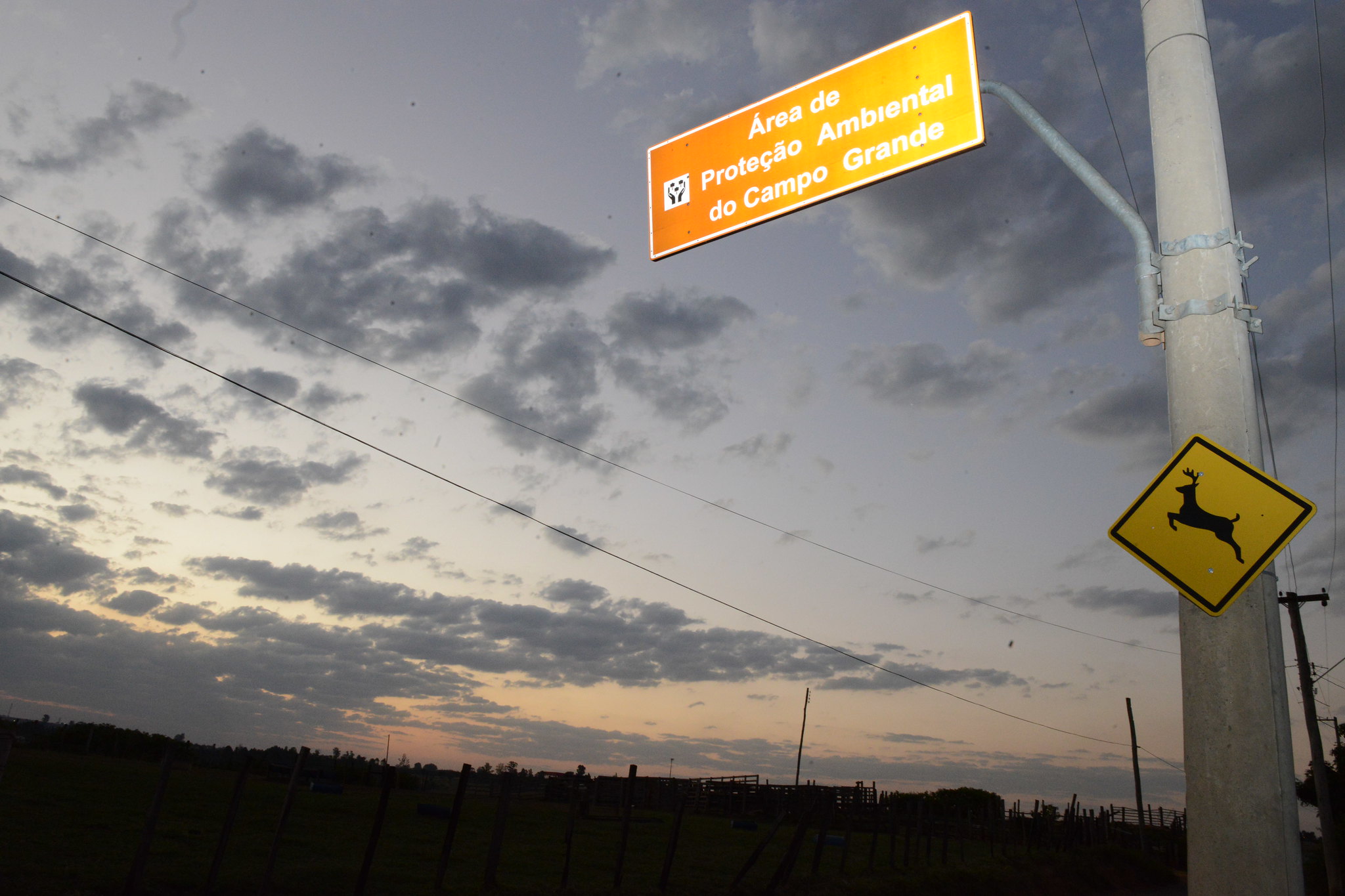 Após proibição de novos loteamentos no Campo Grande, prefeitura faz acordo com MP