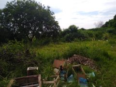 Pais demonstram preocupação com mato alto e entulho ao lado de escola