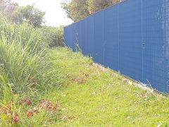 Pais demonstram preocupação com mato alto e entulho ao lado de escola