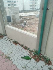 Barulho de obra de construtora no período da noite incomoda vizinhos