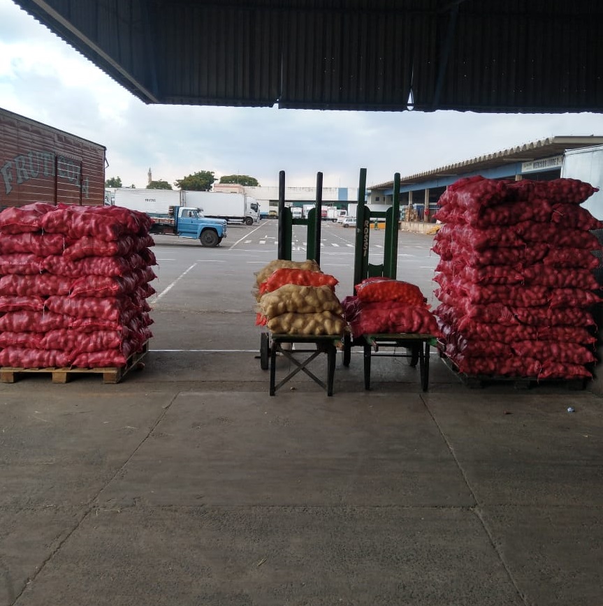 Campinas: com inflação, preço da cebola tem aumento de 50%