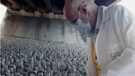 Câmara de Campinas homenageia Padre Júlio Lancellotti durante sessão