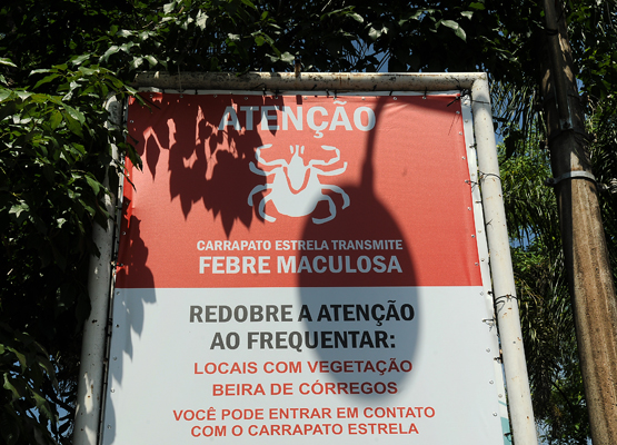 Campinas tem 4 mortes por febre maculosa este ano