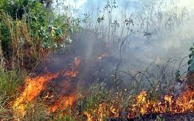 Fumaça de incêndio suspende aulas em escola de Campinas