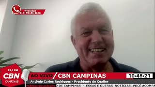 Mercado de flores deve ter um movimento 20% maior que em 2021