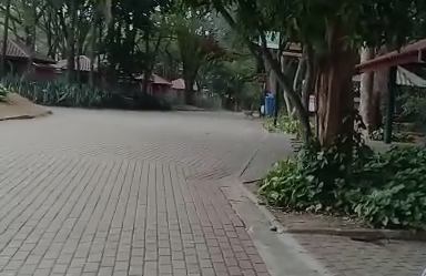 Frequentadores aprovam mudança no piso da Lagoa do Taquaral