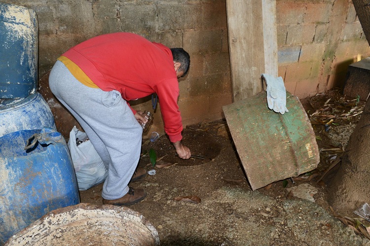 Piracicaba retoma, após 4 anos, ações contra escorpiões nos cemitérios