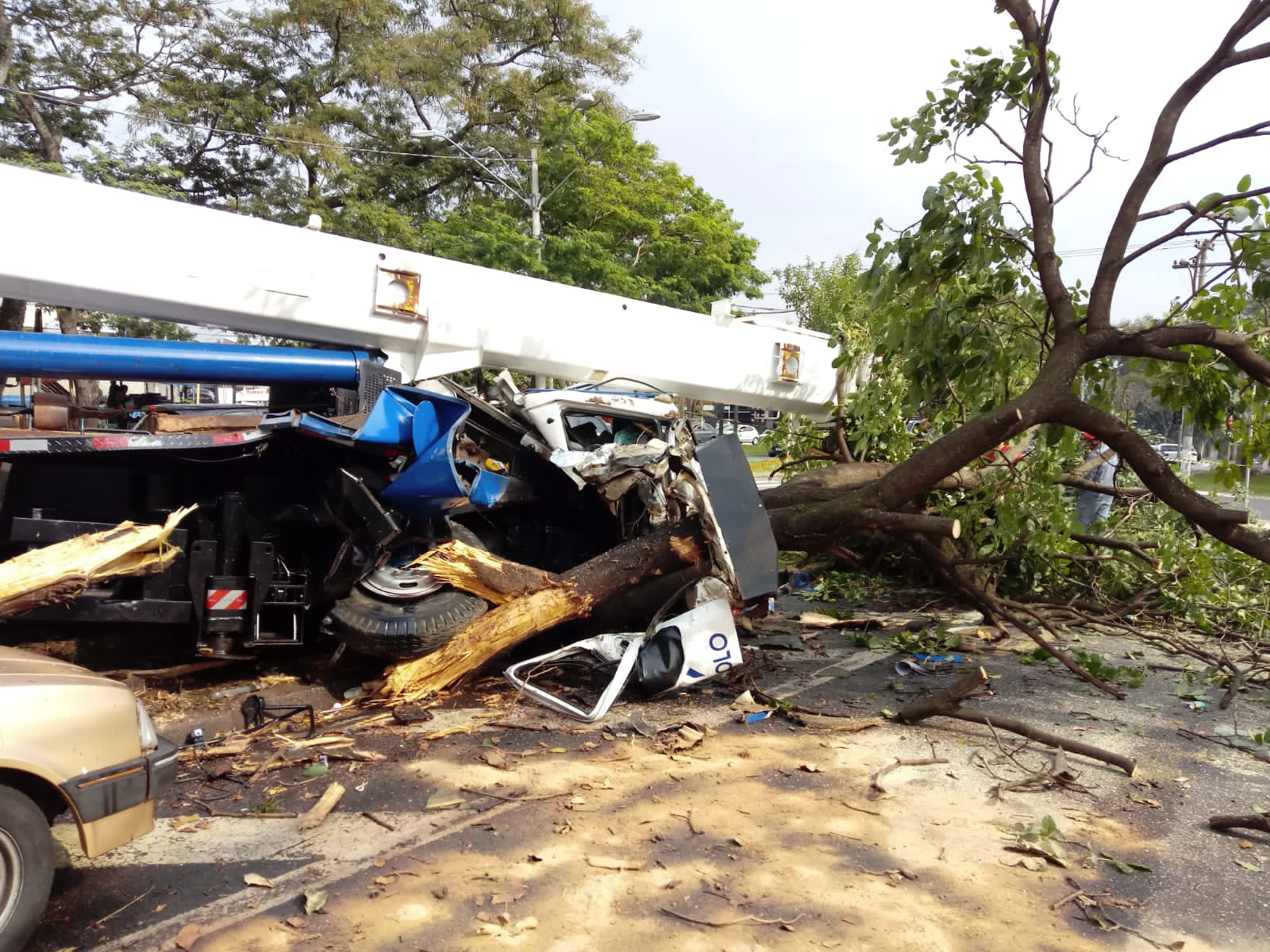 Caminhão guindaste perde controle, derruba árvore e atinge carro em Campinas