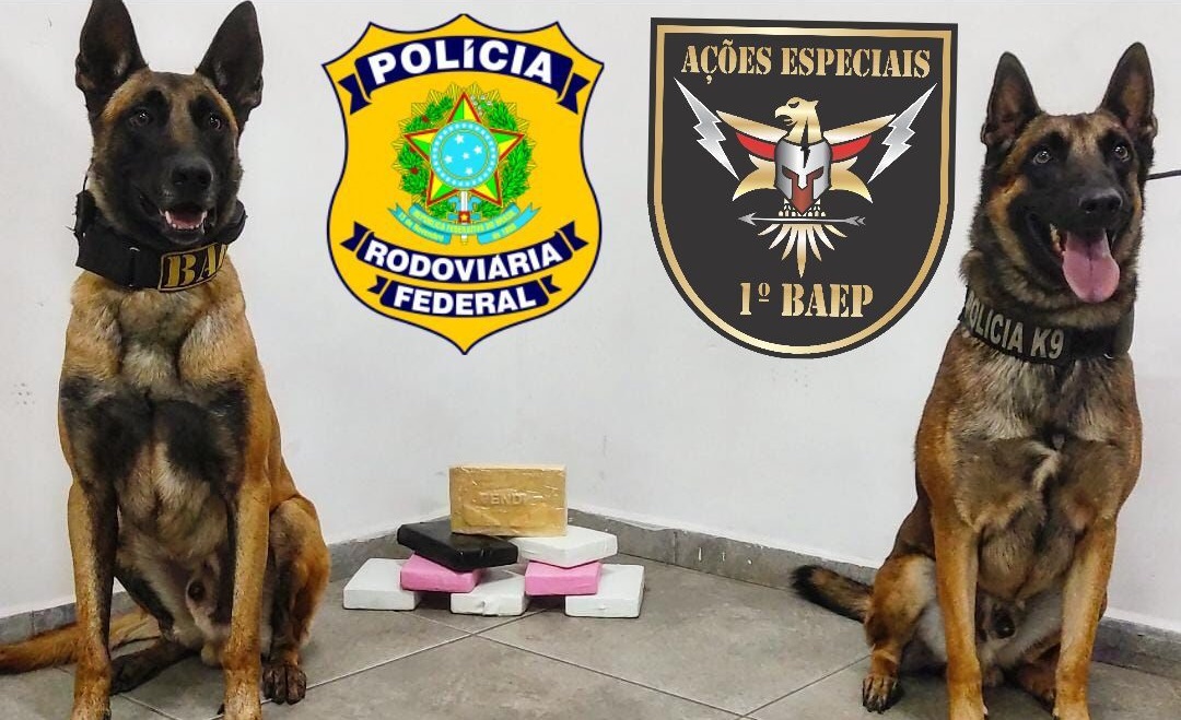 Baep de Campinas apreende drogas em Atibaia
