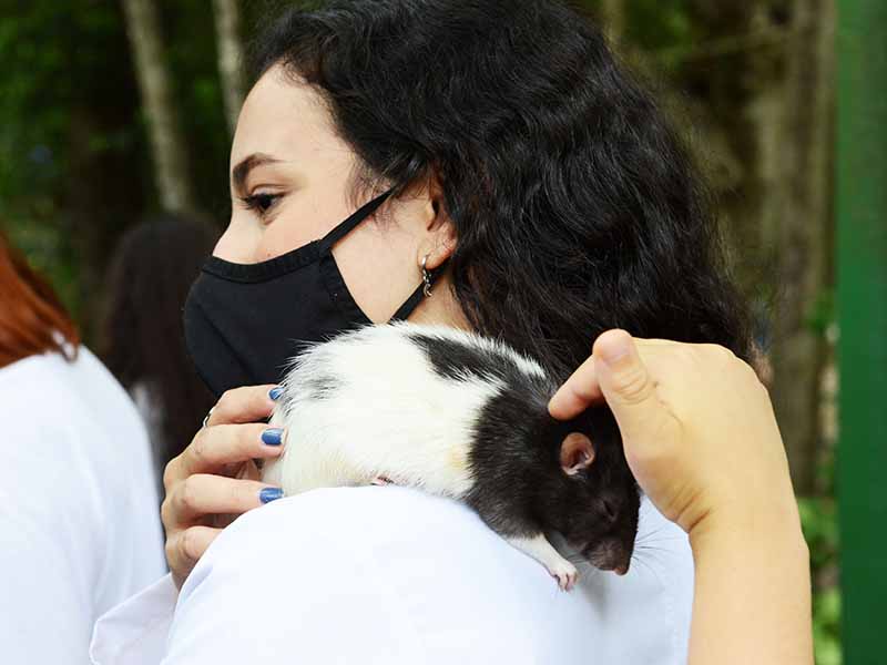 Bosque realiza evento interativo gratuito com animais neste sábado