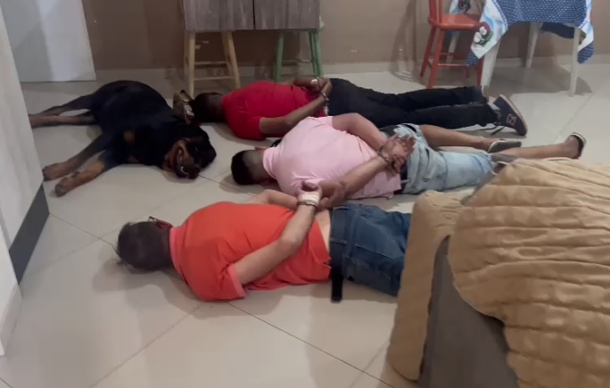 Cachorro “se rende” durante mega apreensão de drogas em Hortolândia