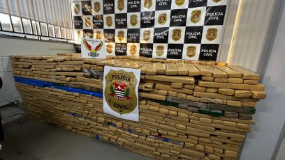 Cachorro “se rende” durante mega apreensão de drogas em Hortolândia