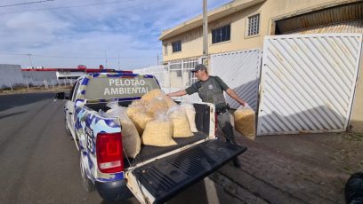 Vigilância Sanitária interdita fábrica de batata palha em Limeira