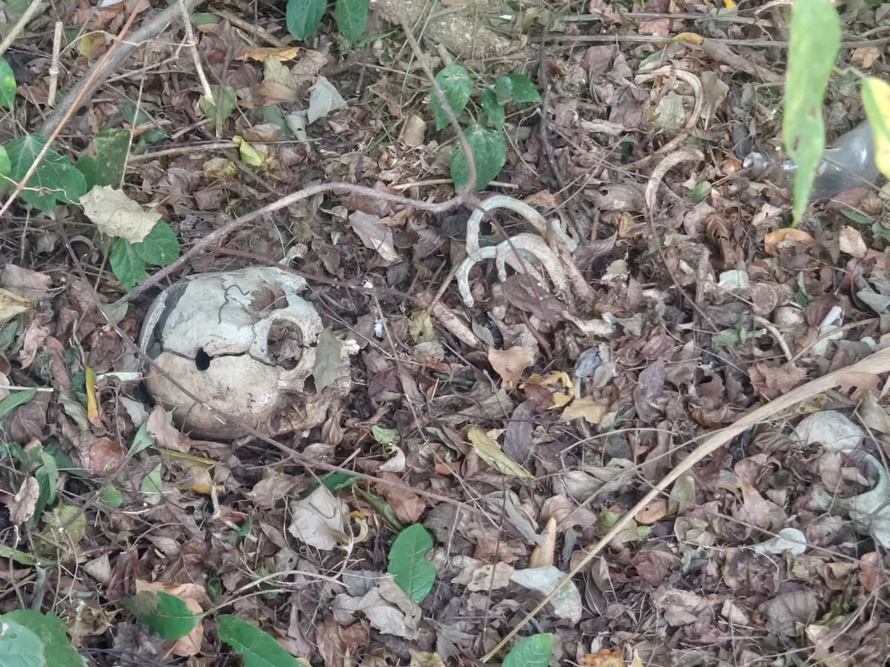 Funcionário de fazenda encontra ossada humana
